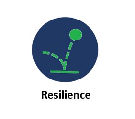 Button to access Resilience resources